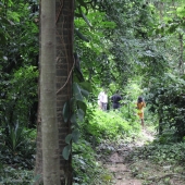 KNUST Botanical Garden and why you need to be there